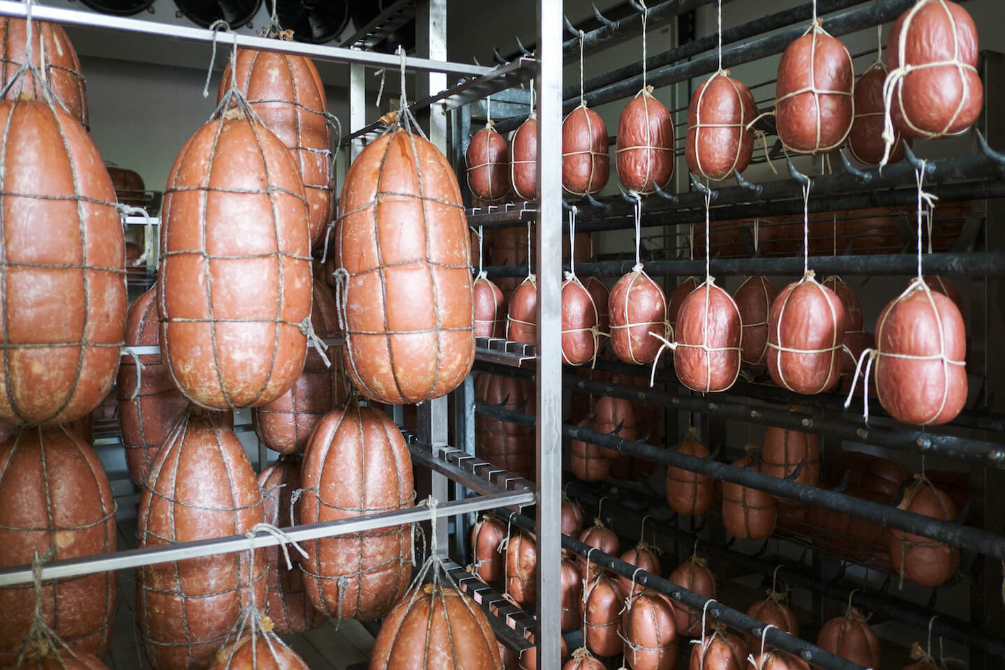 Le Origini della Mortadella: Un Viaggio nella Tradizione Artigianale